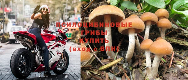 гашик Абаза