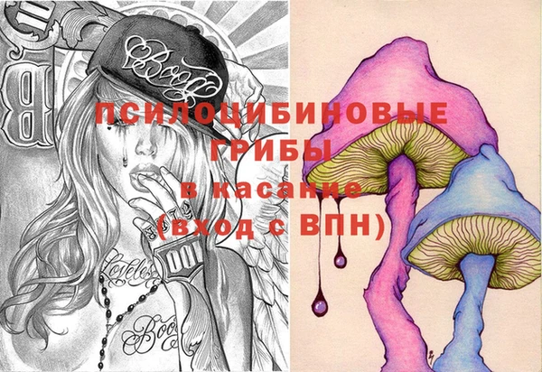 PSILOCYBIN Абдулино