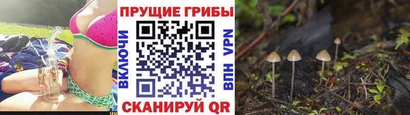 Галлюциногенные грибы Cubensis  дарнет шоп  Янаул 